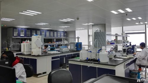 抗擊新型冠狀病毒,嘉興人才專家在行動