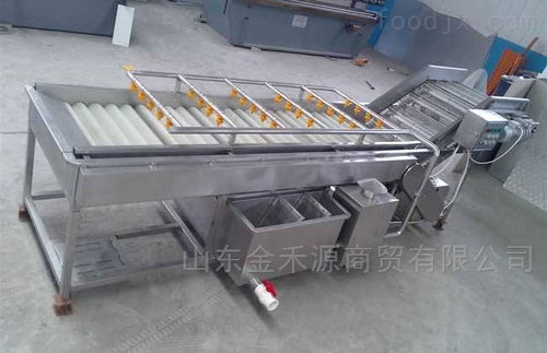 秋意正濃公司 引領(lǐng)產(chǎn)業(yè)革新，新型果蔬清洗風(fēng)干流水線與先進(jìn)汽輪機同步上市